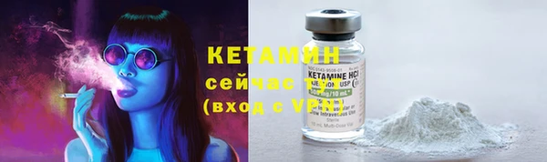 крисы Михайловск