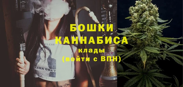 крисы Михайловск