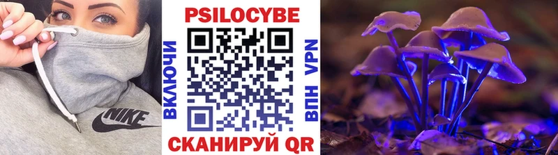 Купить  Чегем  Псилоцибиновые грибы мухоморы 